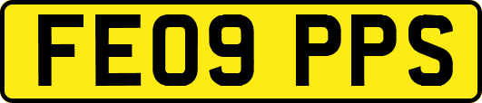 FE09PPS