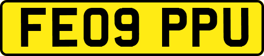 FE09PPU