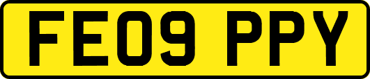 FE09PPY