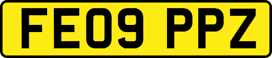 FE09PPZ