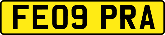 FE09PRA