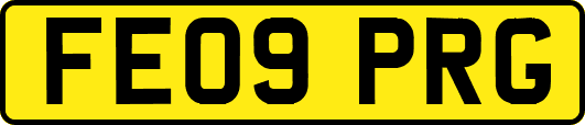 FE09PRG