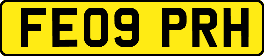 FE09PRH
