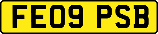 FE09PSB