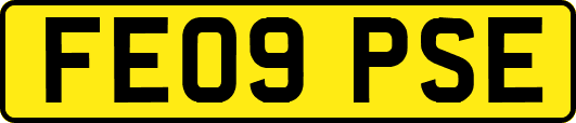 FE09PSE