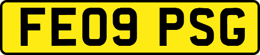 FE09PSG