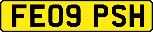 FE09PSH