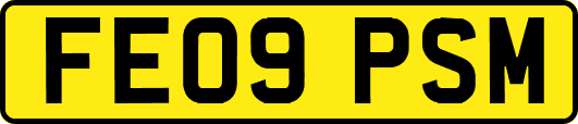 FE09PSM