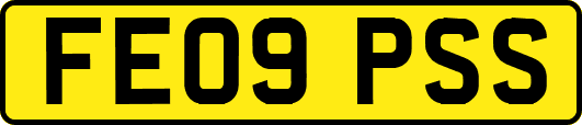 FE09PSS