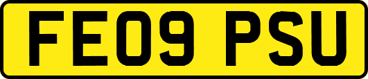 FE09PSU