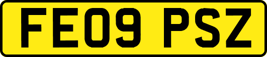 FE09PSZ
