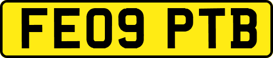 FE09PTB