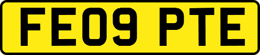 FE09PTE