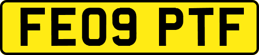 FE09PTF