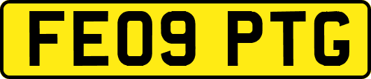 FE09PTG