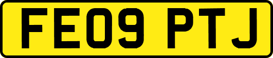FE09PTJ
