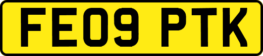 FE09PTK