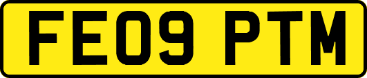 FE09PTM