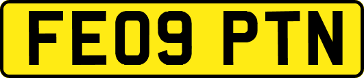 FE09PTN