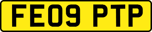 FE09PTP