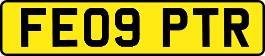 FE09PTR