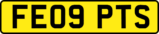 FE09PTS