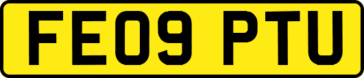 FE09PTU