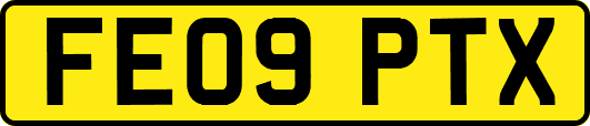 FE09PTX