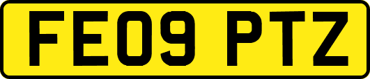 FE09PTZ