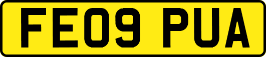 FE09PUA