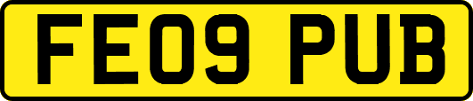 FE09PUB
