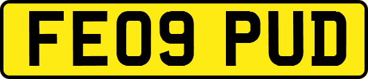 FE09PUD