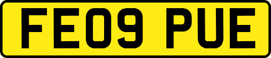 FE09PUE