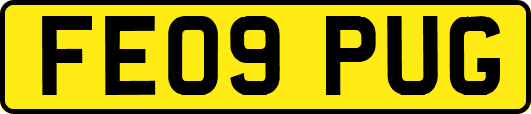 FE09PUG