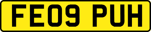 FE09PUH