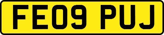 FE09PUJ