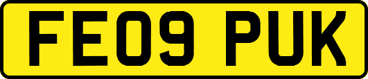 FE09PUK