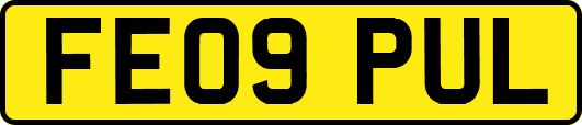 FE09PUL
