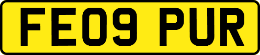 FE09PUR