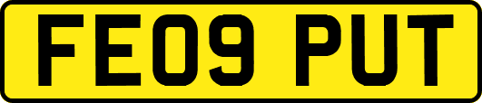FE09PUT