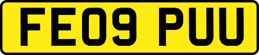 FE09PUU