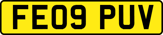 FE09PUV