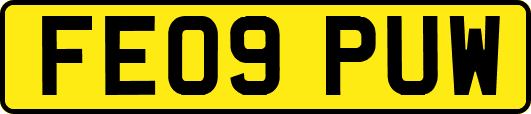 FE09PUW