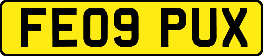 FE09PUX
