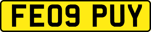 FE09PUY