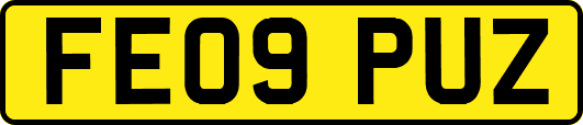 FE09PUZ