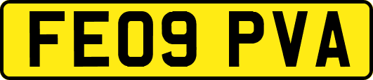 FE09PVA