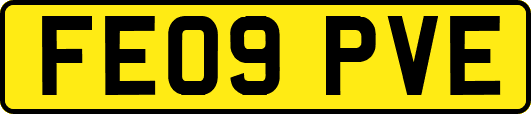 FE09PVE