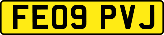 FE09PVJ