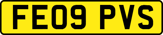 FE09PVS